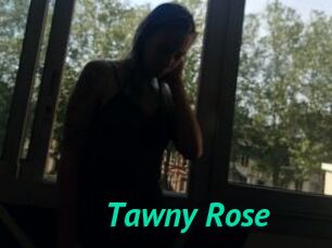 Tawny_Rose