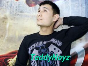 TeddyNoyz