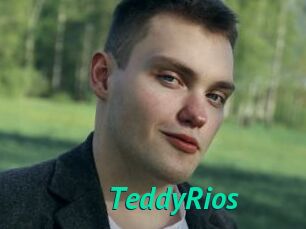 TeddyRios