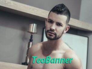 TeoBanner