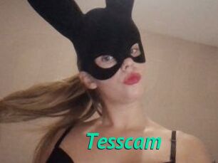 Tesscam