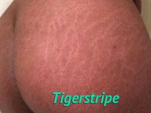 Tigerstripe