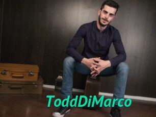ToddDiMarco