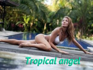 Tropical_angel