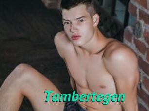 Tambertegen