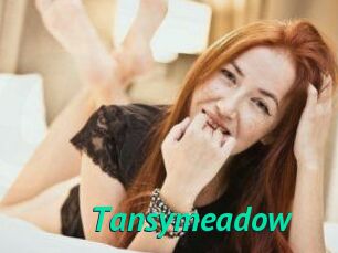Tansymeadow
