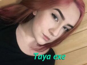 Taya_exe