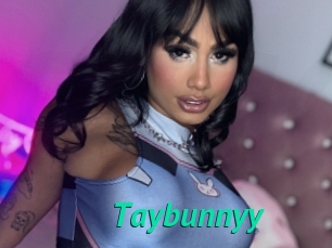 Taybunnyy