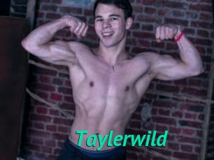 Taylerwild