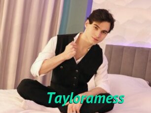 Tayloramess