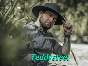 Teddysteel