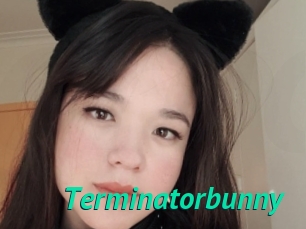 Terminatorbunny