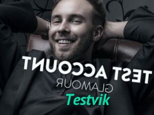 Testvik