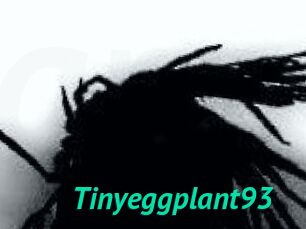Tinyeggplant93