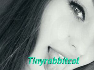 Tinyrabbitcol