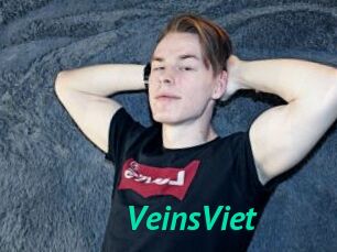 VeinsViet