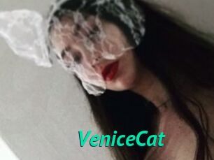 VeniceCat