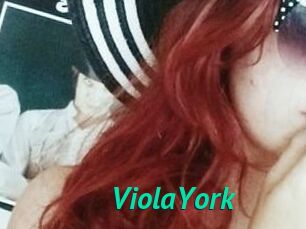 ViolaYork
