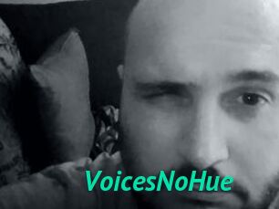 VoicesNoHue