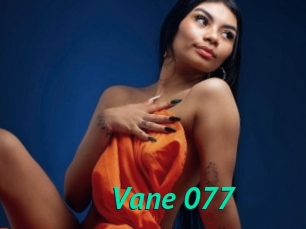 Vane_077