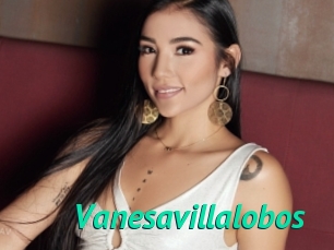Vanesavillalobos