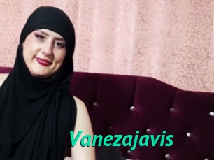 Vanezajavis