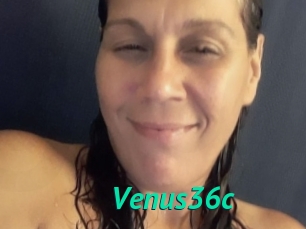 Venus36c