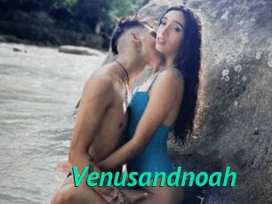 Venusandnoah