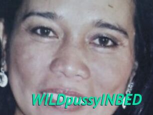 WILDpussyINBED