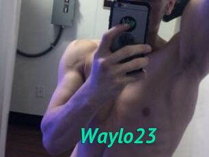Waylo23