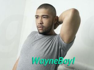 WayneBoyI