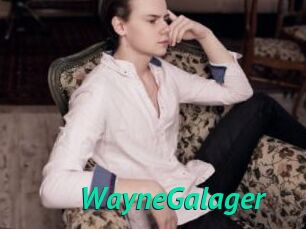 WayneGalager