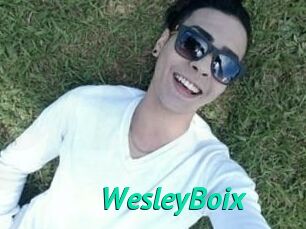 Wesley_Boix