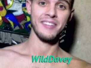 WildDavey