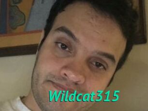 Wildcat315