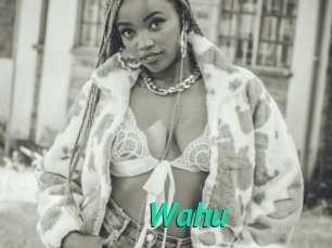 Wahu