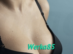 Werka85