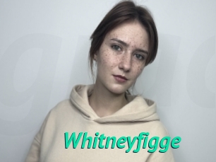 Whitneyfigge