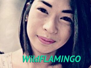 WildFLAMINGO