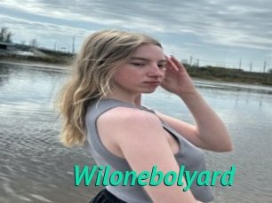 Wilonebolyard