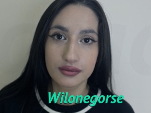 Wilonegorse