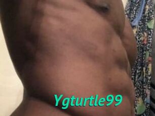 Ygturtle99