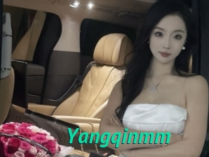 Yangqinmm