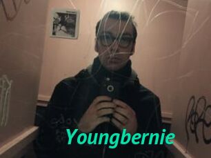 Youngbernie