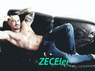 ZECElei