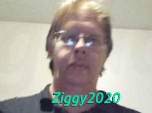 Ziggy2020