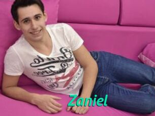 Zaniel