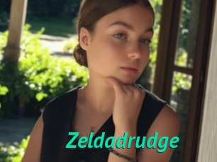 Zeldadrudge