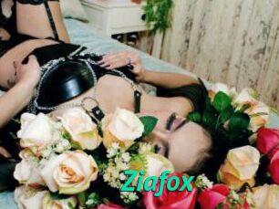 Ziafox