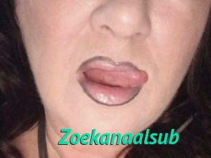 Zoekanaalsub